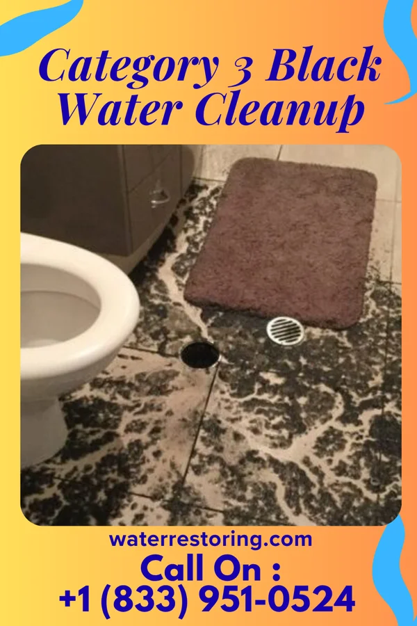 Category 3 Black Water Cleanup in Ordway, CO